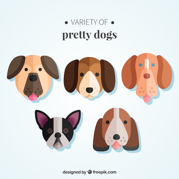 Gratis vector verscheidenheid van mooie honden