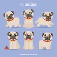 Gratis vector verscheidenheid van pugs met plat ontwerp