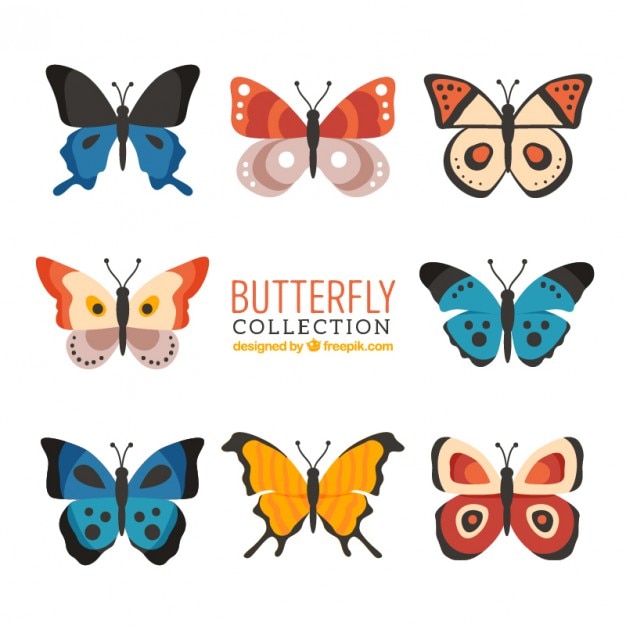 Gratis vector verscheidenheid van vlinders in kleuren