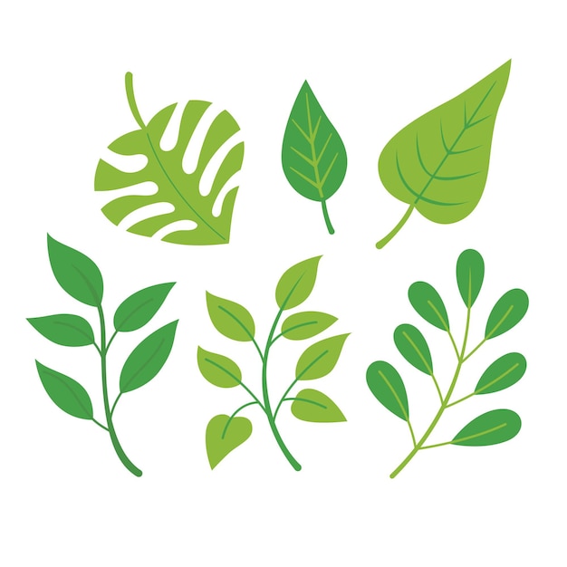 Gratis vector verschillende groene bladeren pakken plat ontwerp