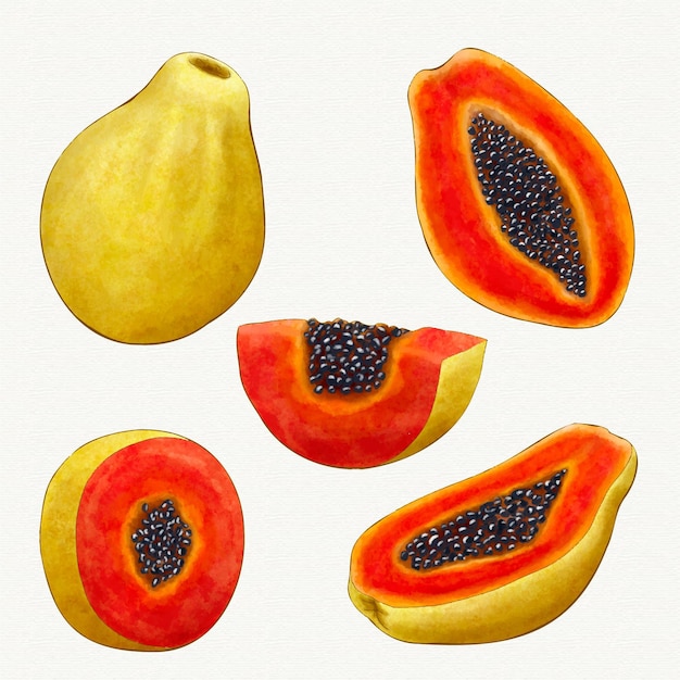 Gratis vector verschillende hoeken van papajafruit