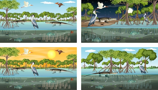 Gratis vector verschillende mangroveboslandschapsscènes met verschillende dieren