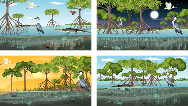 Verschillende mangroveboslandschapsscènes met verschillende dieren