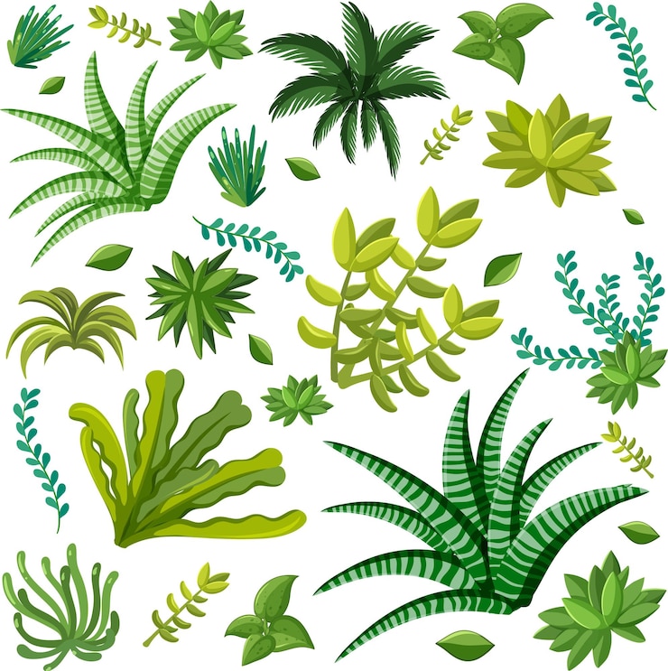 Gratis Vector verschillende planten naadloos patroon