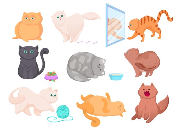 Verschillende rassen van schattige kittens illustraties set