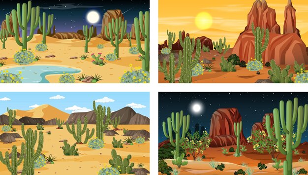Verschillende scènes met woestijnboslandschap