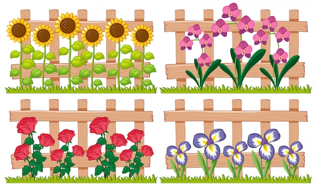 Gratis vector verschillende soorten bloemen in de tuin