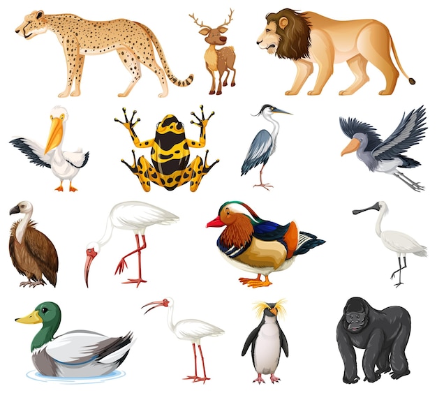 Gratis vector verschillende soorten dieren collectie