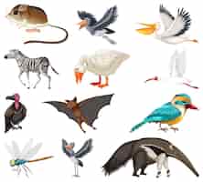 Gratis vector verschillende soorten dieren collectie