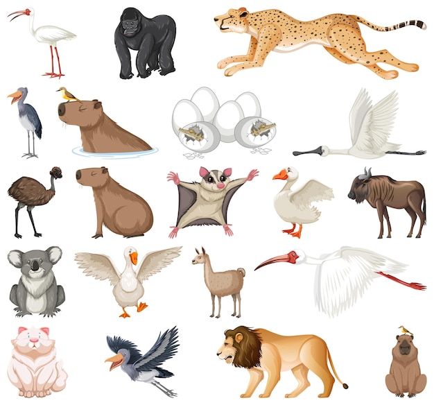 Gratis vector verschillende soorten dieren collectie