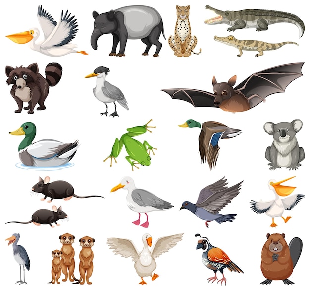 Verschillende soorten dieren collectie