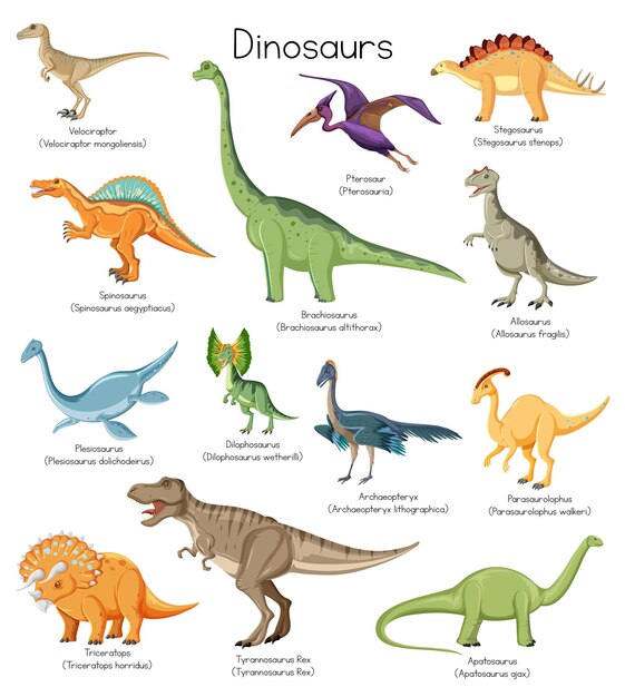 Verschillende soorten dinosaurussen met namen