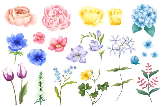 Verschillende soorten geïllustreerde bloemen die op witte achtergrond worden geïsoleerd.