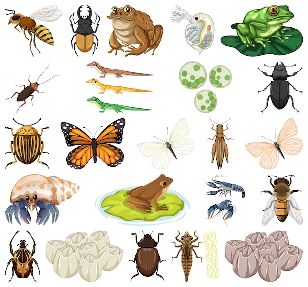 Gratis vector verschillende soorten insecten en dieren op witte achtergrond