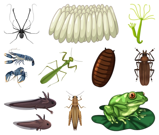 Gratis vector verschillende soorten insecten en dieren op witte achtergrond