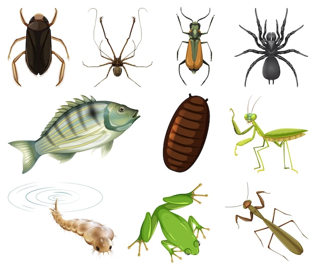 Gratis vector verschillende soorten insecten en dieren op witte achtergrond