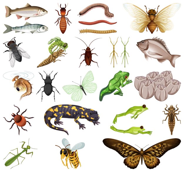 Verschillende soorten insecten en dieren op witte achtergrond