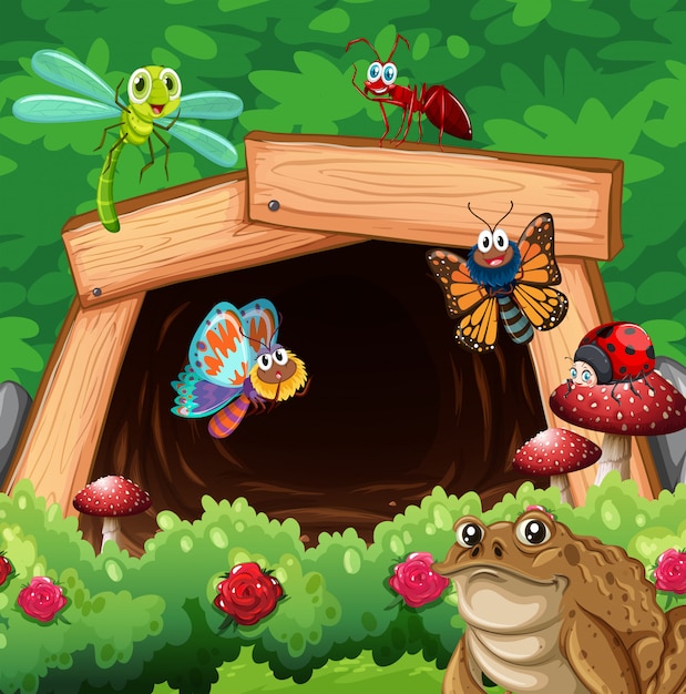 Verschillende soorten insecten voor de tunnel