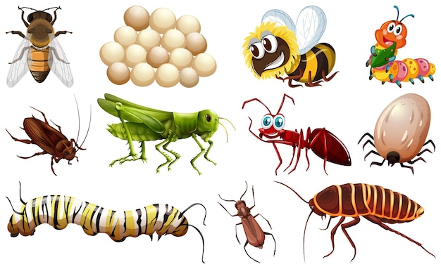 Gratis vector verschillende soorten insectenverzameling