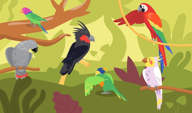 Gratis vector verschillende soorten papegaaien in bos of jungle. wilde tropische vogels, exotische veelkleurige ara, ara platte cartoon afbeelding