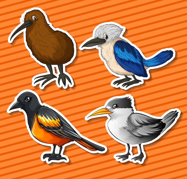 Gratis vector verschillende soorten vogels