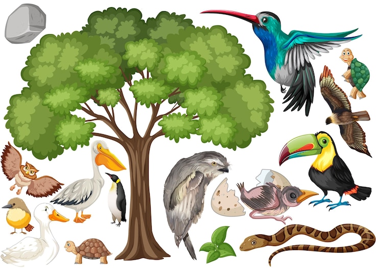 Gratis Vector verschillende soorten wilde dieren collectie