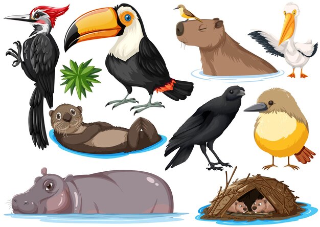 Gratis vector verschillende soorten wilde dieren collectie