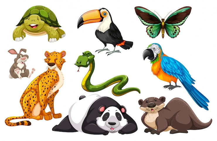 Gratis Vector verschillende soorten wilde dieren illustratie