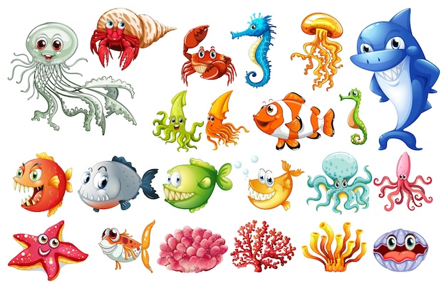 Gratis vector verschillende soorten zeedieren