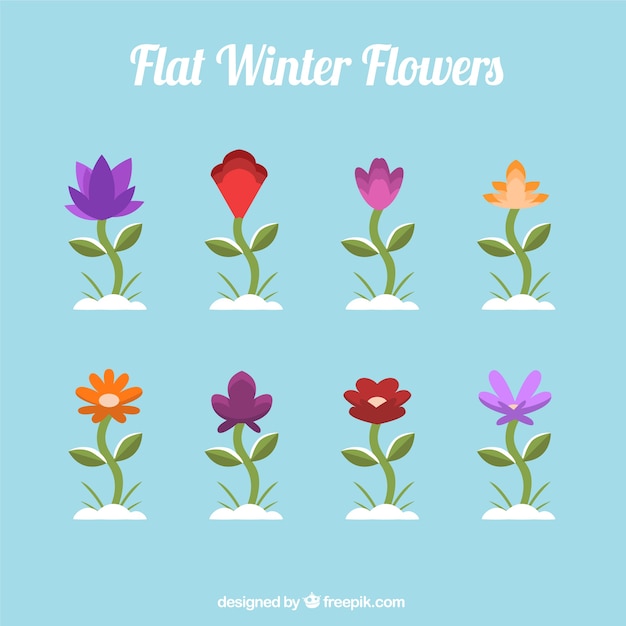 Gratis vector verschillende winter planten