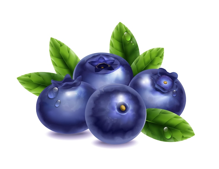 Gratis Vector verse bosbessen met waterdruppels en groene bladeren op een witte achtergrond realistische vectorillustratie