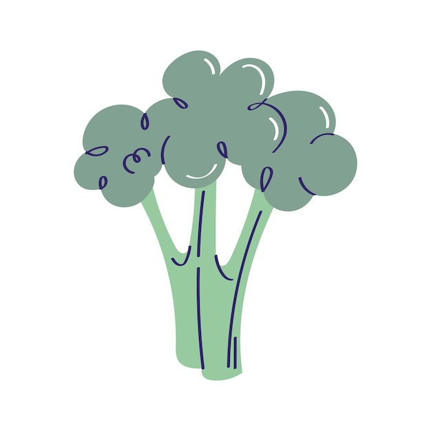 Gratis vector verse broccoligroente