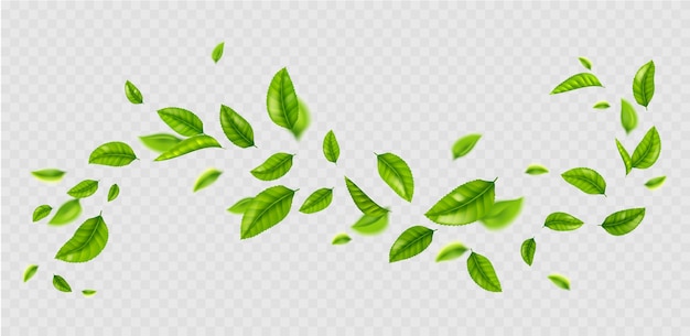 Gratis vector verse groene bladeren die op de wind vliegen