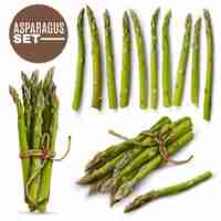 Gratis vector verse malse asperges