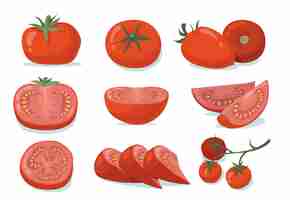 Gratis vector verse tomaten set