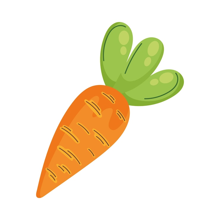 Gratis Vector verse wortelgroente