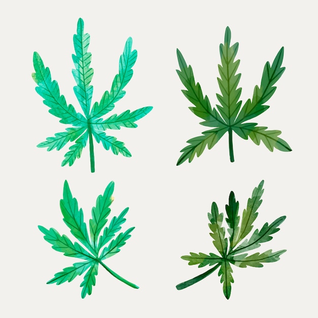 Verzameling van aquarel cannabis bladeren