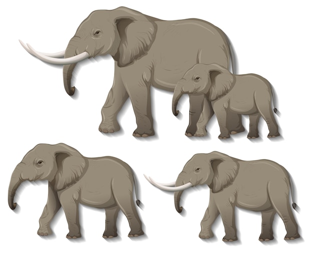Gratis vector verzameling van geïsoleerde olifanten op witte achtergrond