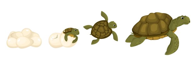 Verzameling van geïsoleerde pictogrammen met karakters van volwassen schildpad met kleintje dat uit eierschaal komt vectorillustratie