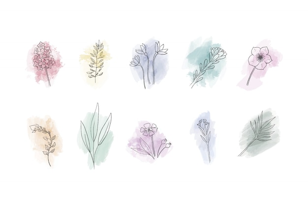 Verzameling van hand getrokken bloemen op aquarel vlekken