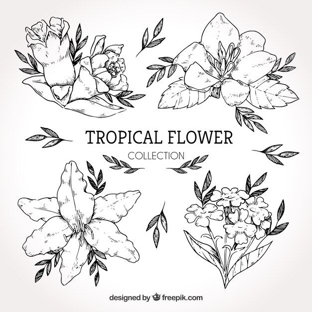 Verzameling van hand getrokken tropische bloemen