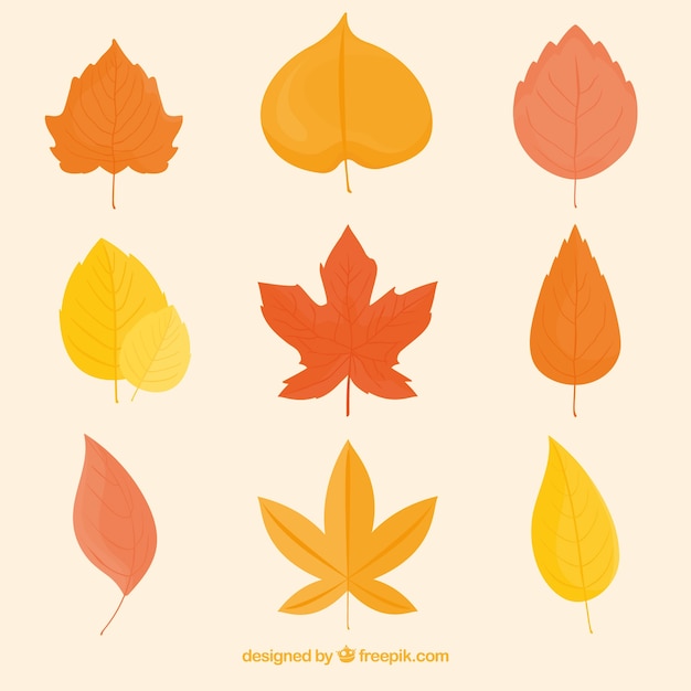 Gratis vector verzameling van handgetekende herfstbladeren