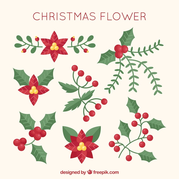 Gratis vector verzameling van kerstmis bloemen