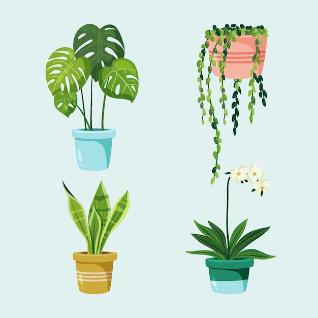 Gratis vector verzameling van mooie kamerplanten in potten