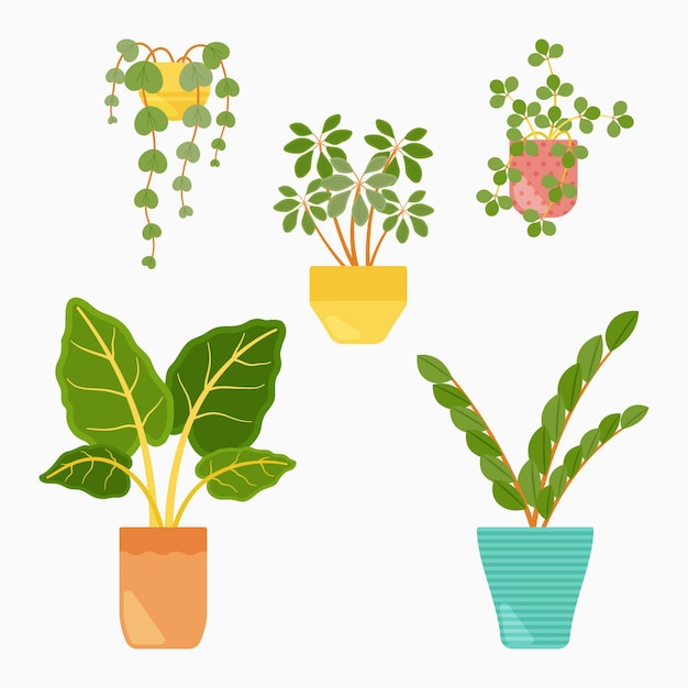 Gratis vector verzameling van mooie kamerplanten in potten