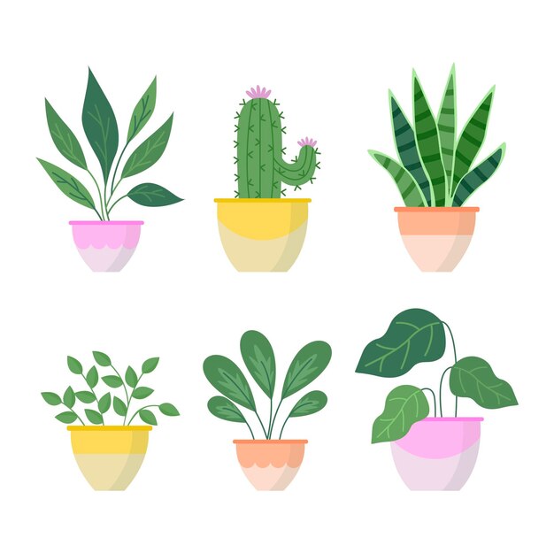 Verzameling van platte design kamerplanten