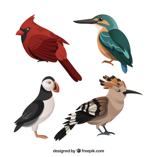 Gratis vector verzameling van platte exotische vogels