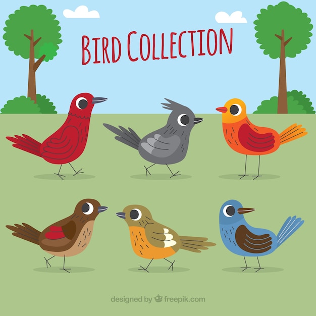 Gratis vector verzameling van platte vogels