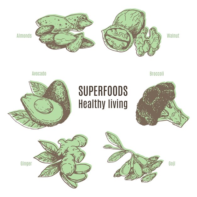 Verzameling van superfood concept