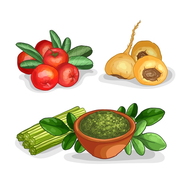 Gratis vector verzameling van superfood concept